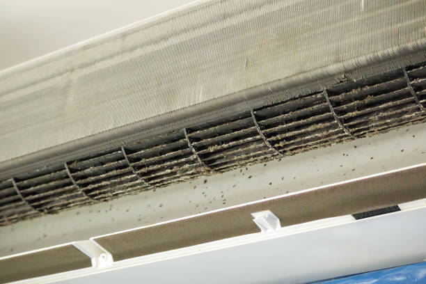 Best HVAC Air Duct Cleaning  in Bottineau, ND